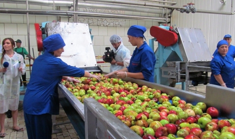 Agricultorii trag alarma! Din 38 de fabrici de procesare a fructelor au mai rămas 6