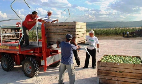 Rusia a extins doar pentru trei luni regimul fără taxe pentru fructele importate din ...