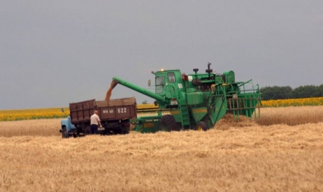 Cât grâu a mai rămas în țară