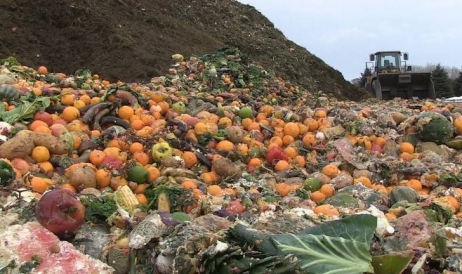 Предотвращение продовольственных потерь в Молдове: между добрыми намерениями и ...