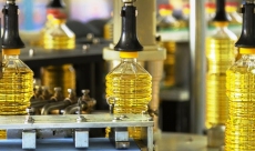 Cea mai mare fabrică de ulei din Moldova și-a oprit activitatea: ...